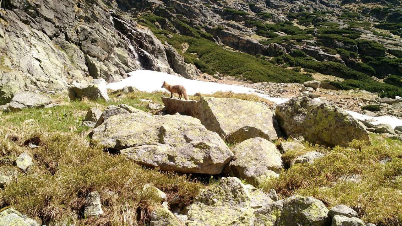 Apartment Lucy - Primo Tatry Stary Smokovec วิสโซเค ดาตรี ภายนอก รูปภาพ